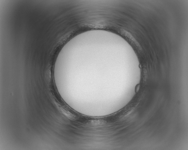 X0000074320541200609230029