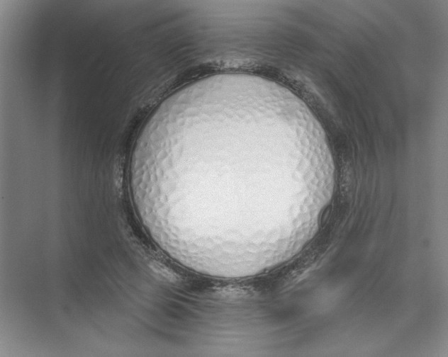 X0000074320545200609230029