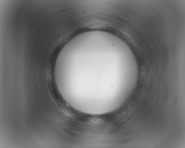 X0000074320547200609230029