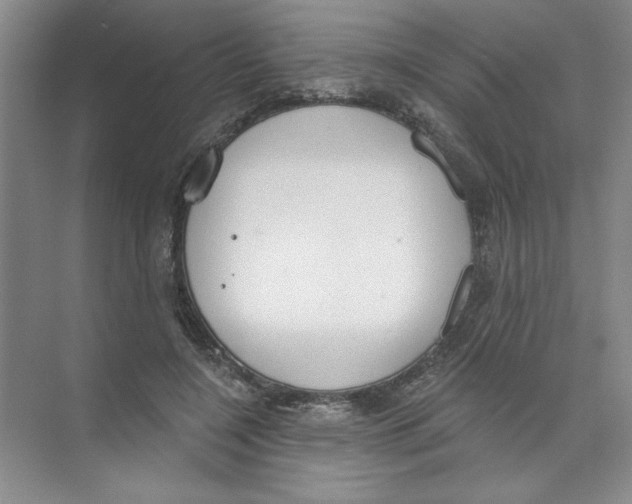 X0000074320548200609230029