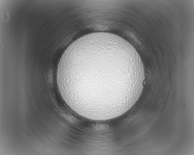 X0000074320549200609230029