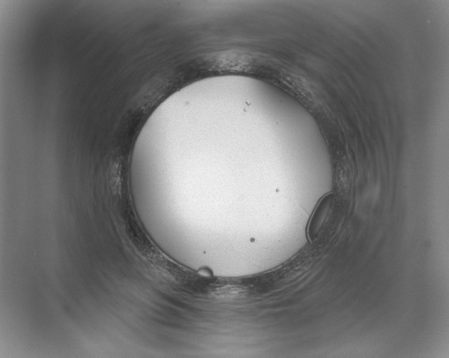 X0000074320551200609230029