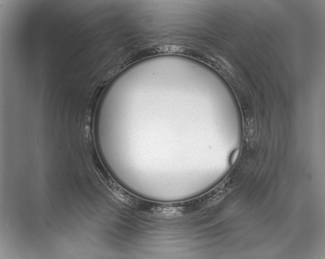 X0000074320553200609230029