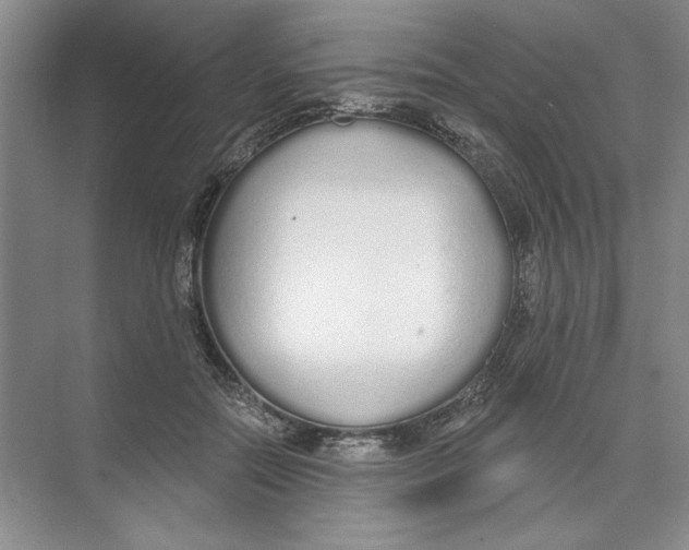 X0000074320554200609230029