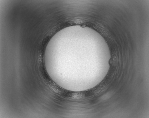 X0000074320555200609230029