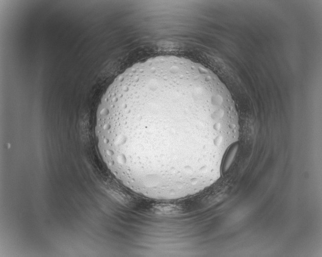 X0000074320557200609230029