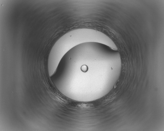 X0000074320558200609230029