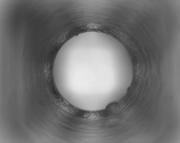 X0000074320559200609230029