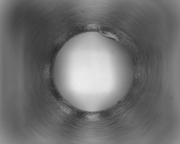 X0000074320560200609230029