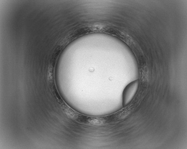 X0000074320561200609230029