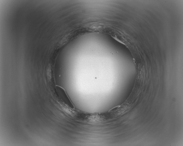 X0000074320562200609230029