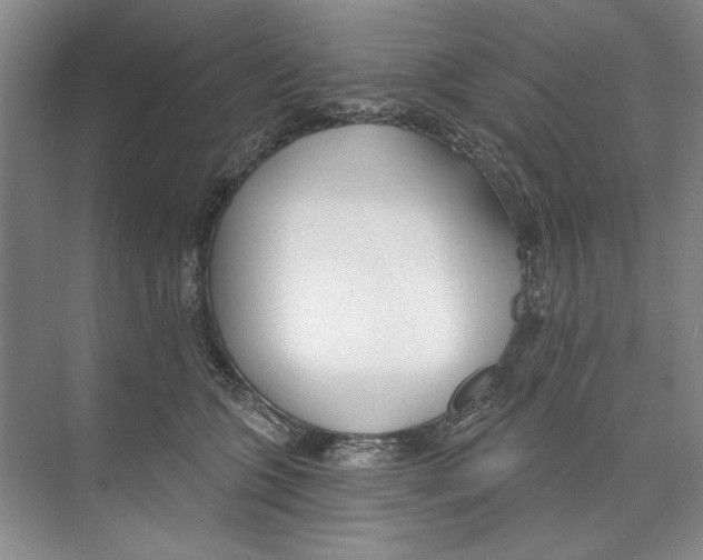 X0000074320563200609230029