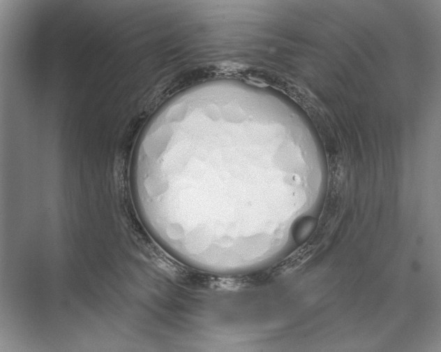 X0000074320565200609230029