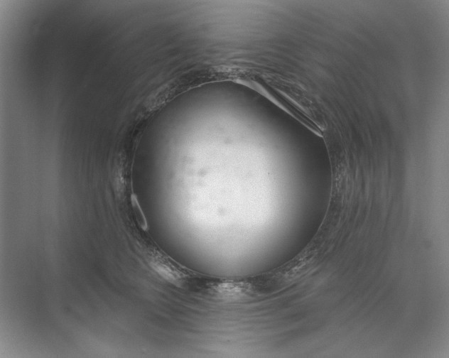 X0000074320566200609230029