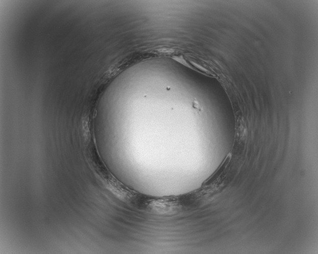 X0000074320568200609230029