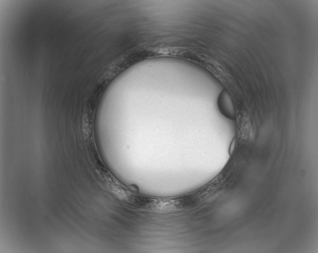 X0000074320569200609230029