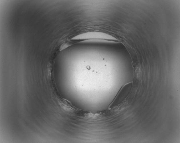 X0000074320570200609230029