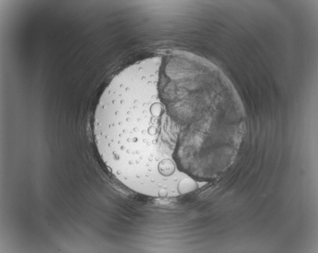 X0000074320573200609230029