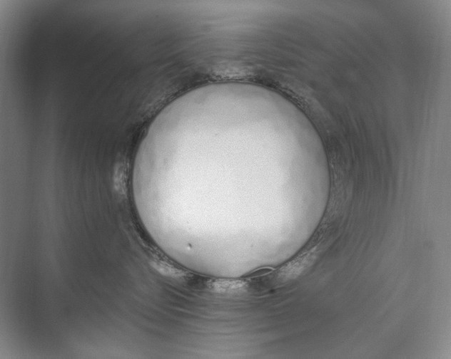 X0000074320576200609230030