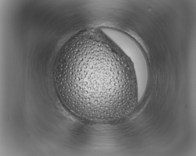 X0000074320577200609230029