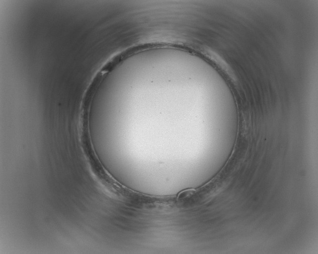 X0000074320580200609230029