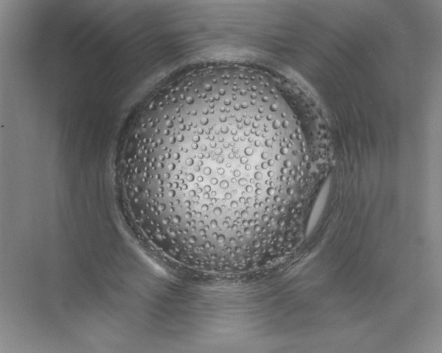 X0000074320581200609230029