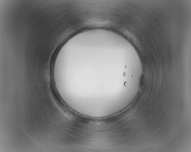 X0000074320582200609230029