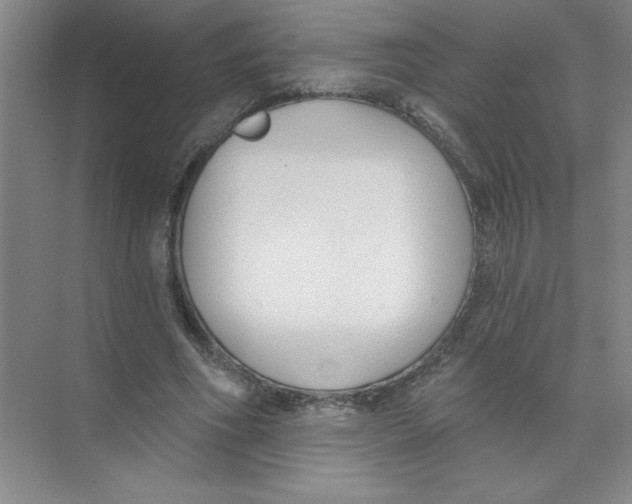 X0000074320586200609230029