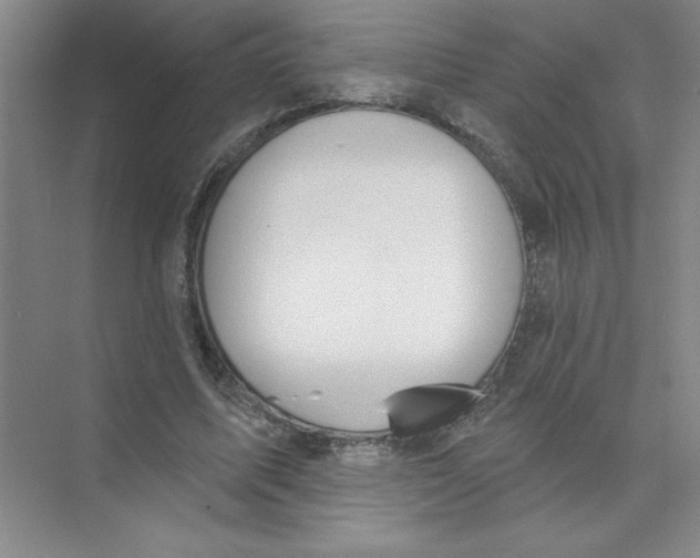 X0000074320587200609230029