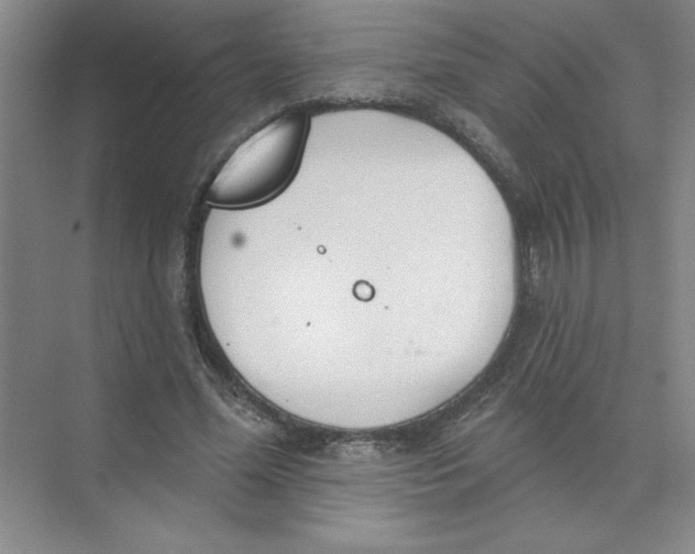 X0000074320588200609230029