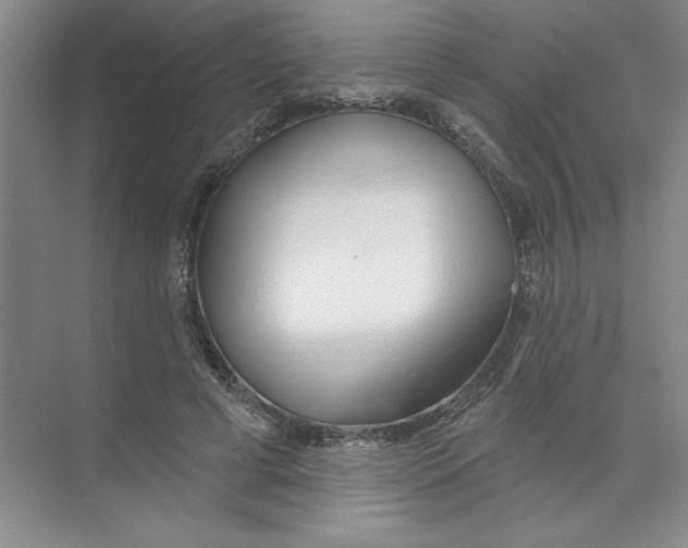 X0000074320593200609230028