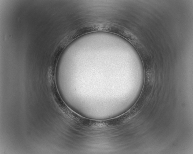 X0000074320594200609230028