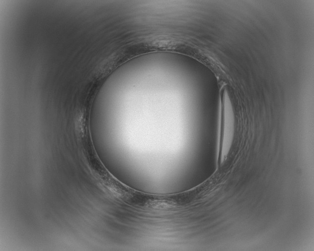 X0000074320597200609230028