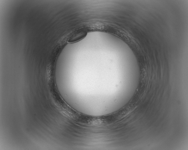 X0000074320600200609230028