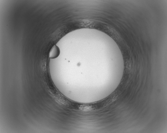 X0000074320602200609230028