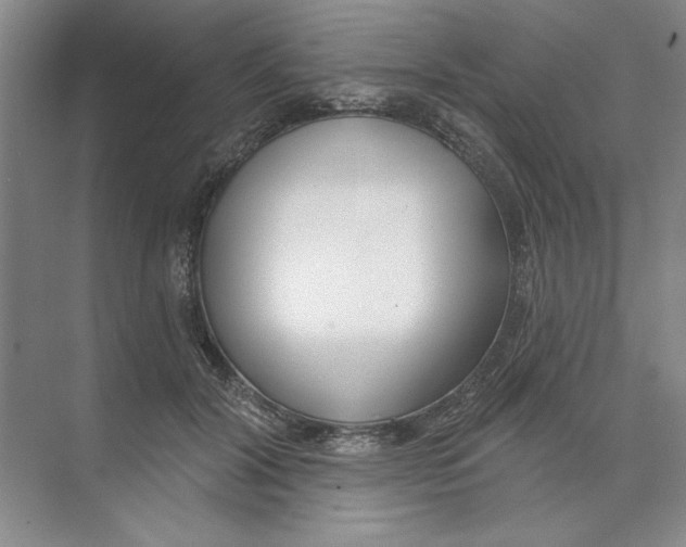 X0000074320604200609230028