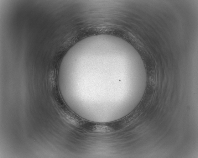 X0000074320605200609230028