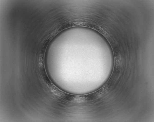 X0000074320606200609230028