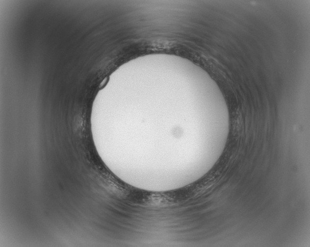 X0000074320608200609230028