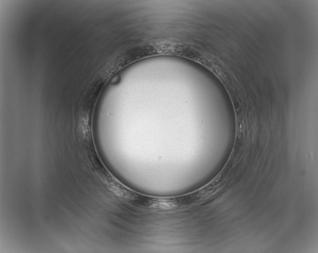 X0000074320610200609230028