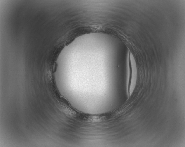 X0000074320613200609230028