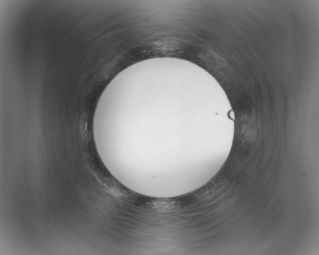 X0000074320615200609230028