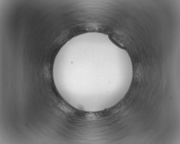 X0000074320616200609230028