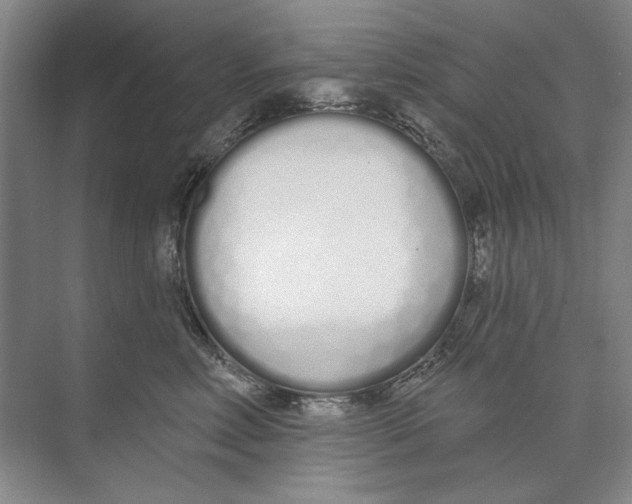 X0000074320618200609230028