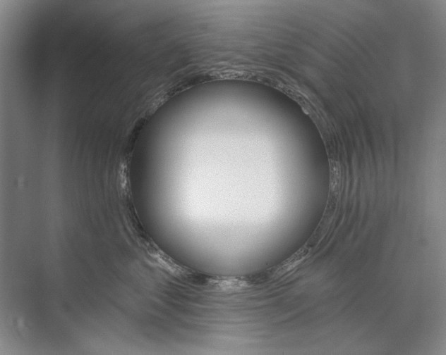 X0000074320621200609230028