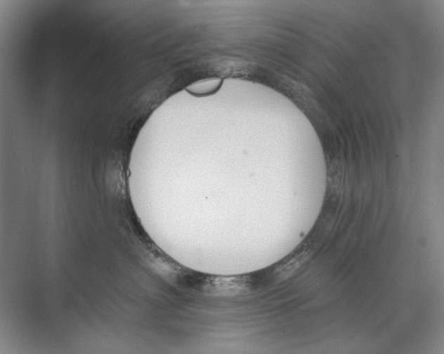 X0000074320622200609230028