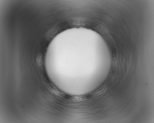 X0000074320623200609230028