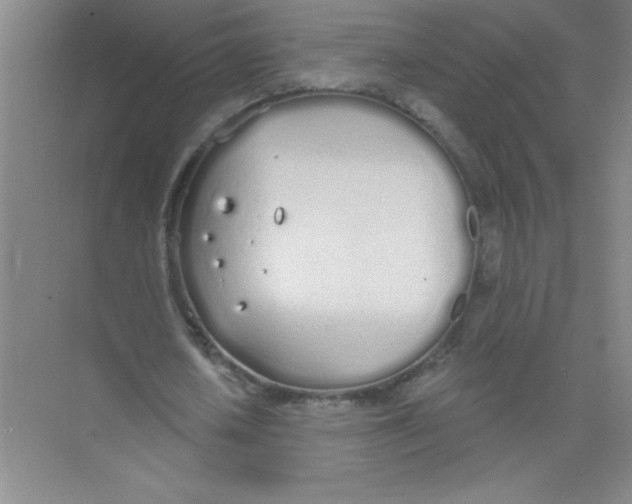 X0000074320626200609230027