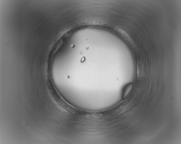 X0000074320627200609230027