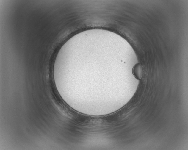 X0000074320631200609230027